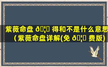 紫薇命盘 🦉 得和不是什么意思（紫薇命盘详解(免 🦟 费版)文墨天机）